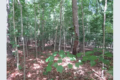 0 S Woodleaf Road, Forest City, NC 28043 - Photo 9