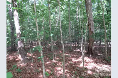 0 S Woodleaf Road, Forest City, NC 28043 - Photo 11