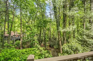 118 Timber Creek Rd, Hendersonville, NC 28739 - Photo 25