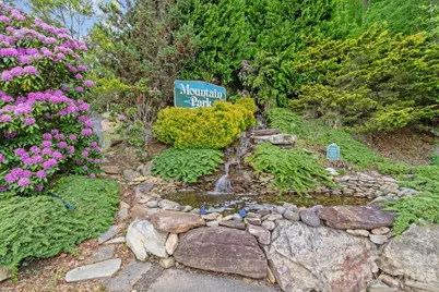 52 Mountain Park Drive, Mars Hill, NC 28754 - Photo 47