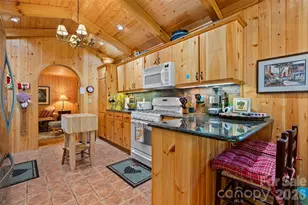 479 Old Dummy Line Rd, Balsam, NC 28707 - Photo 17