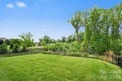 141 Hanks Bluff Drive, Mooresville, NC 28117 - Photo 29