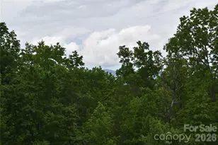 25 Triton Way, Old Fort, NC 28762 - Photo 33