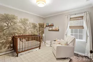 3219 Silver Pond Ct, Charlotte, NC 28210 - Photo 29