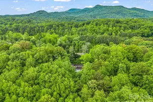 57 Tate Ln, Tryon, NC 28782 - Photo 47