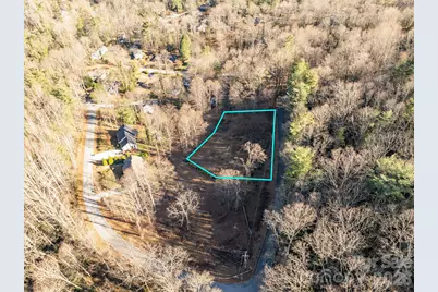 000 Davis Mountain Road, Laurel Park, NC 28739 - Photo 3