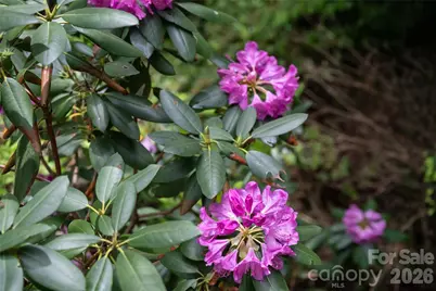 201 Covewood Trail, Asheville, NC 28805 - Photo 39