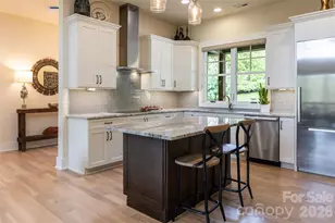 44 Woodland Aster Way, Asheville, NC 28804 - Photo 21