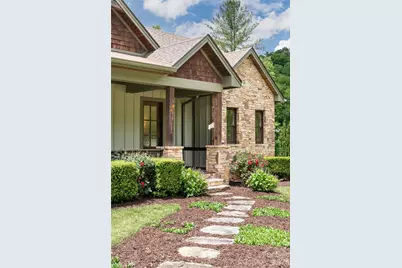 44 Woodland Aster Way, Asheville, NC 28804 - Photo 7