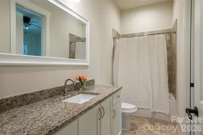 44 Woodland Aster Way, Asheville, NC 28804 - Photo 39