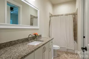 44 Woodland Aster Way, Asheville, NC 28804 - Photo 39
