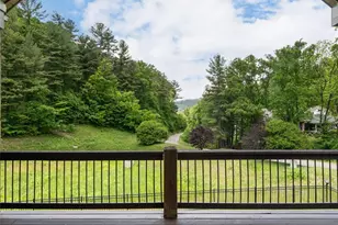 44 Woodland Aster Way, Asheville, NC 28804 - Photo 19
