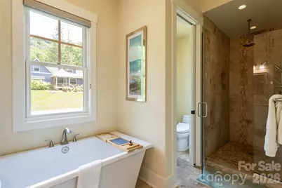 44 Woodland Aster Way, Asheville, NC 28804 - Photo 31