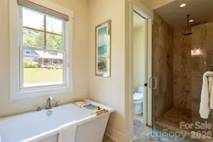 44 Woodland Aster Way, Asheville, NC 28804 - Photo 31