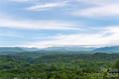 153 Mills Place, Asheville, NC 28804 - Photo 41