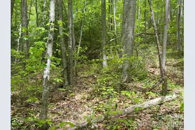 999999 Harwood Road #2, Barnardsville, NC 28709 - Photo 11