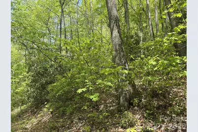 999999 Harwood Road #2, Barnardsville, NC 28709 - Photo 13