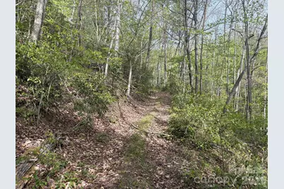 999999 Harwood Road #2, Barnardsville, NC 28709 - Photo 9