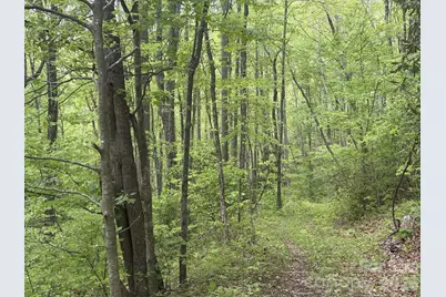 999999 Harwood Road #2, Barnardsville, NC 28709 - Photo 15