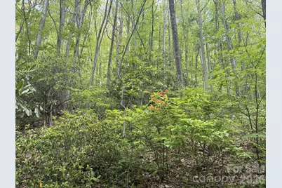 999999 Harwood Road #2, Barnardsville, NC 28709 - Photo 19