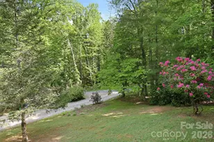1 Mountain Heritage Pl, Candler, NC 28715 - Photo 47