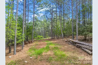 111 Cranberry Lane, Mooresboro, NC 28114 - Photo 3