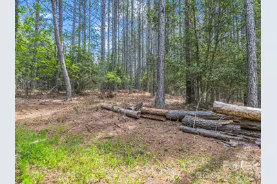 111 Cranberry Lane, Mooresboro, NC 28114 - Photo 5