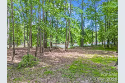 111 Cranberry Lane, Mooresboro, NC 28114 - Photo 19