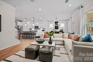 547 Cottage Gdn Ln, Charlotte, NC 28012 - Photo 19
