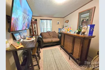 221 Turkey Pen Gap Road, Mills River, NC 28742 - Photo 17