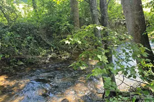 221 Turkey Pen Gap Rd, Mills River, NC 28742 - Photo 21