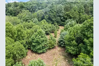 9999 Lollis Road, Candler, NC 28715 - Photo 13