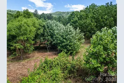 9999 Lollis Road, Candler, NC 28715 - Photo 11