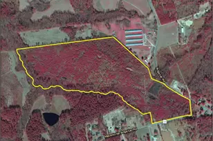 2713 Macedonia-Angelus Rd, Jefferson, SC 29718 - Photo 1