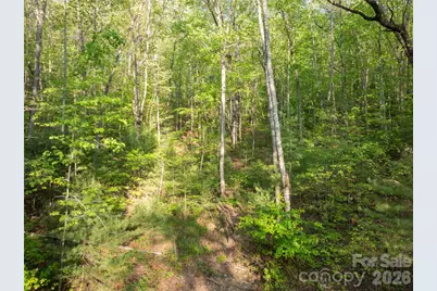 000 Howard Edwards Road, Robbinsville, NC 28771 - Photo 13