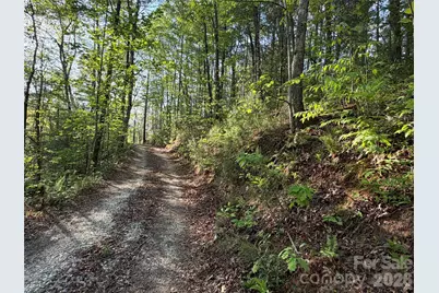 000 Howard Edwards Road, Robbinsville, NC 28771 - Photo 5