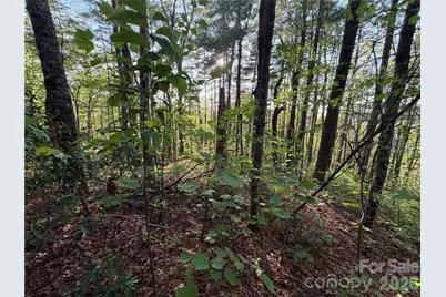 000 Howard Edwards Road, Robbinsville, NC 28771 - Photo 7
