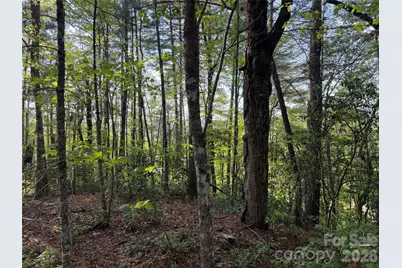 000 Howard Edwards Road, Robbinsville, NC 28771 - Photo 9