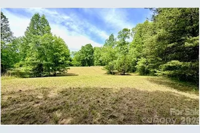 0 Shady Bark Lane #46, Rutherfordton, NC 28139 - Photo 5