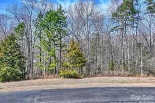 7316 Barrington Ridge Dr, Indian Land, SC 29707 - Photo 7