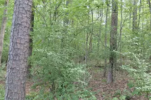 3400 New Hampshire Dr, Charlotte, NC 28227 - Photo 27
