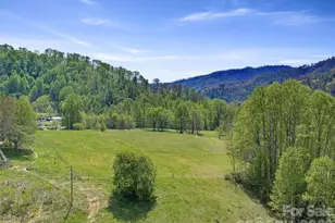 0 Odoms Chapel Rd, Bakersville, NC 28705 - Photo 29