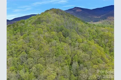0 Odoms Chapel Road, Bakersville, NC 28705 - Photo 19