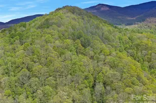 0 Odoms Chapel Rd, Bakersville, NC 28705 - Photo 19