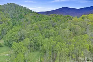 0 Odoms Chapel Rd, Bakersville, NC 28705 - Photo 17