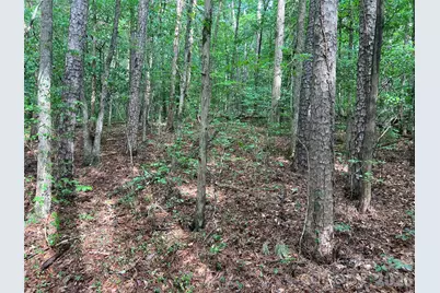 5620 Barrier Georgeville Road, Mount Pleasant, NC 28124 - Photo 11