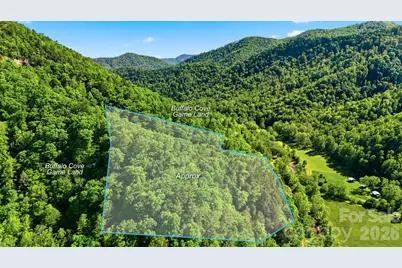0 Buffalo Cove Road, Lenoir, NC 28645 - Photo 5