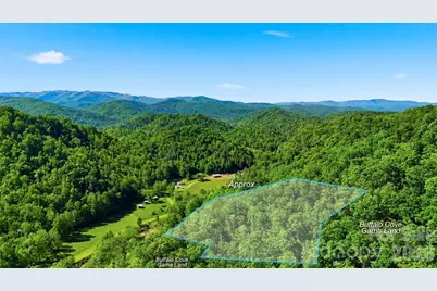 0 Buffalo Cove Road, Lenoir, NC 28645 - Photo 7
