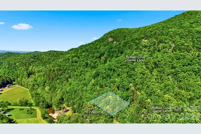 0 Buffalo Cove Road, Lenoir, NC 28645 - Photo 11