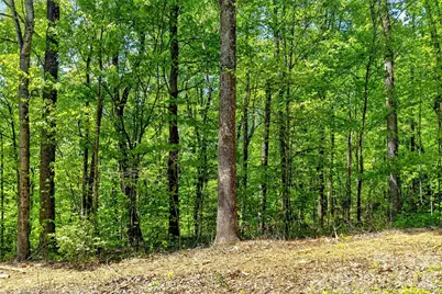 7 Gateway Parkway, Old Fort, NC 28762 - Photo 27